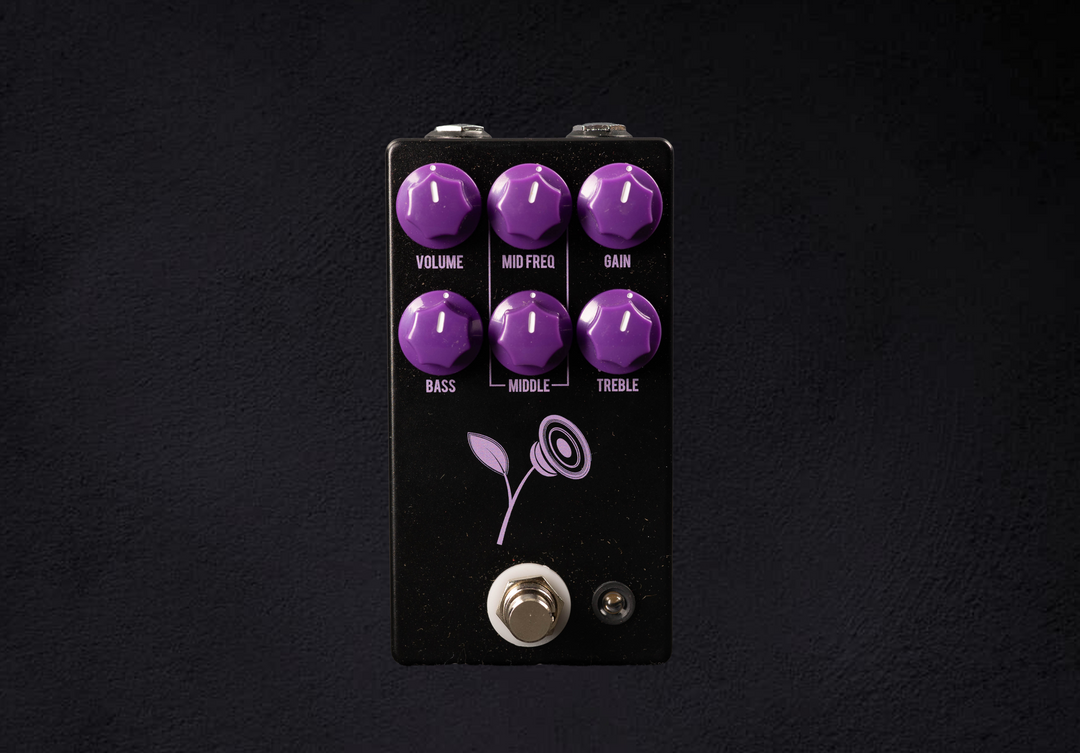 The Violet Lari Basilio Signature Distortion, Recent