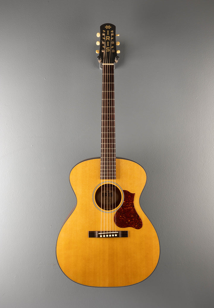 JB Model, Recent