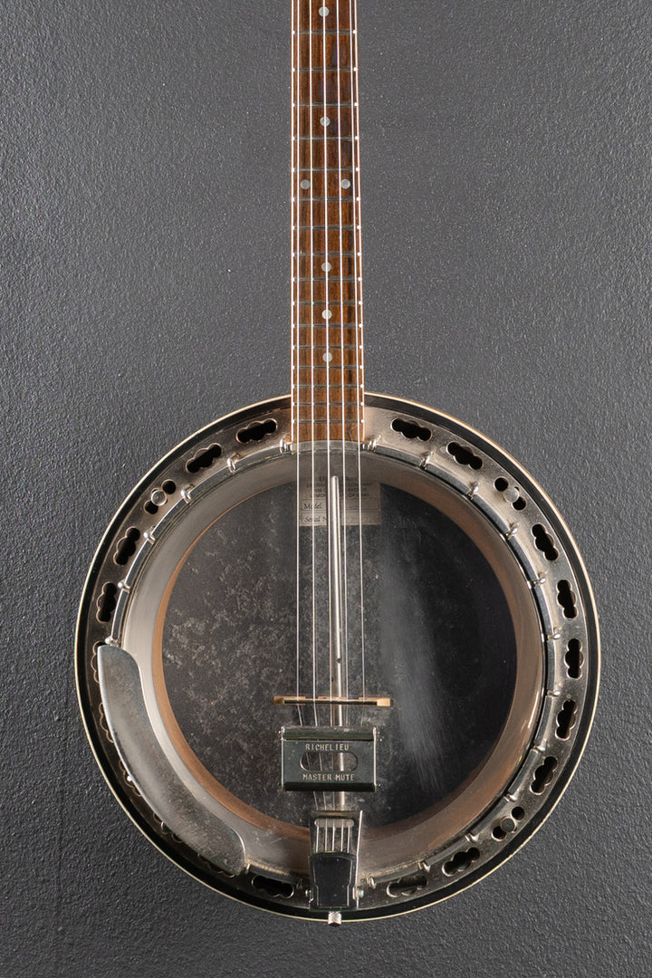 Standard 5-String Banjo &