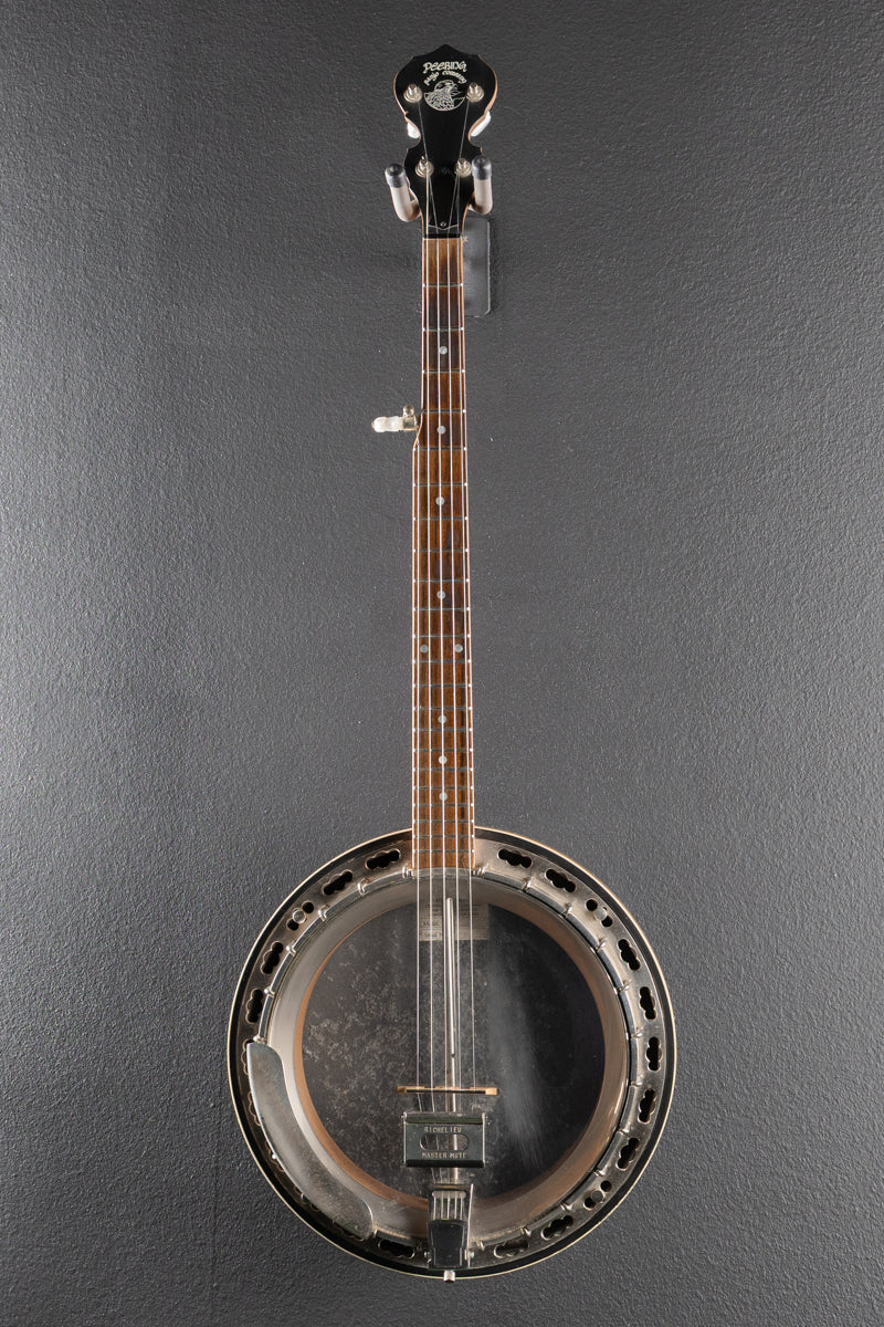 Standard 5-String Banjo &