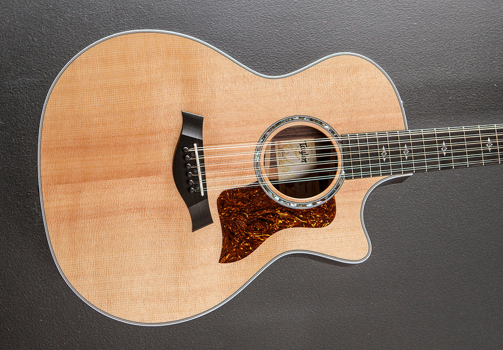 Taylor Builder's Edition 717e Grand Pacific Dreadnought