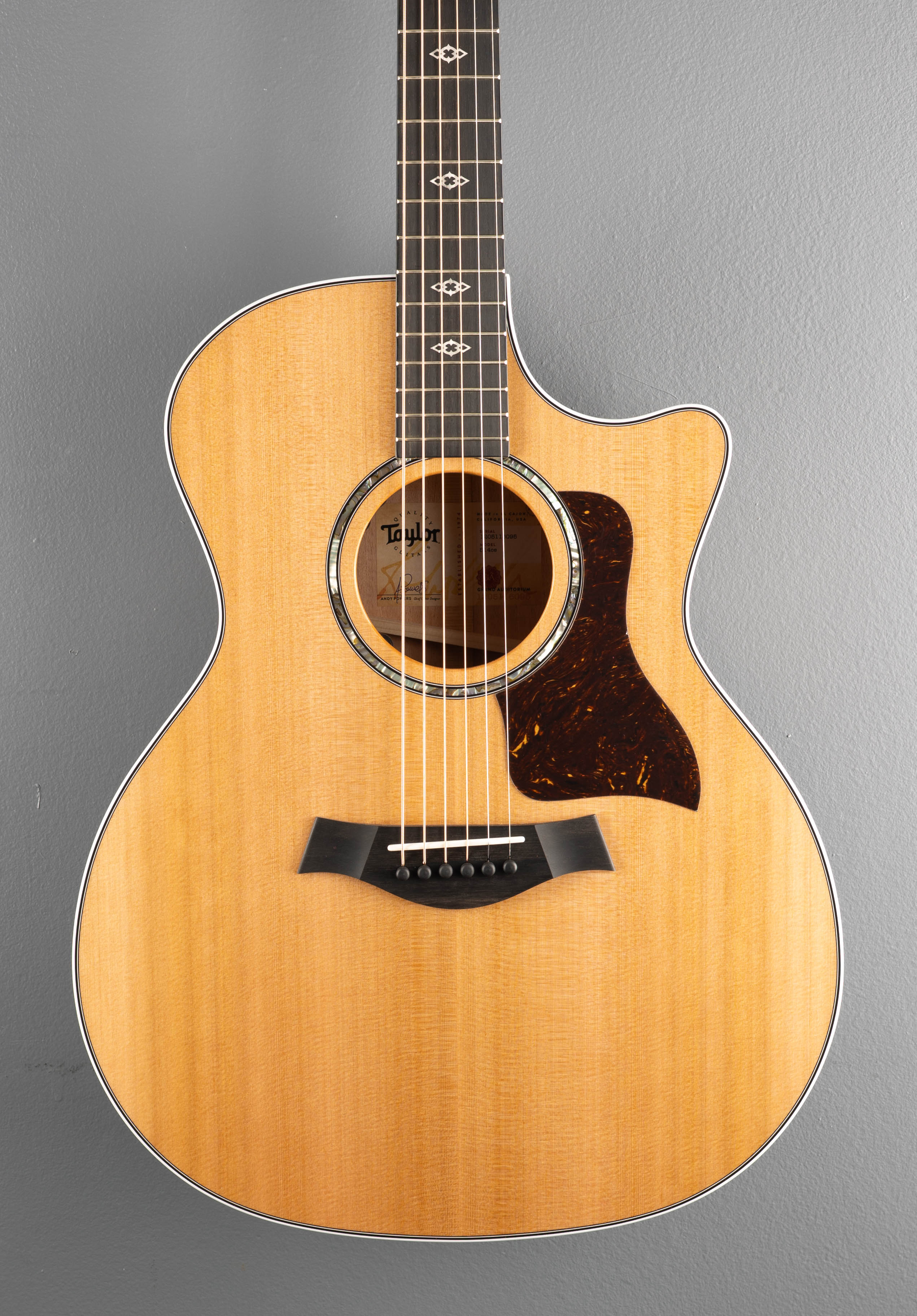 Next Generation 514CE – Dave's Guitar Shop