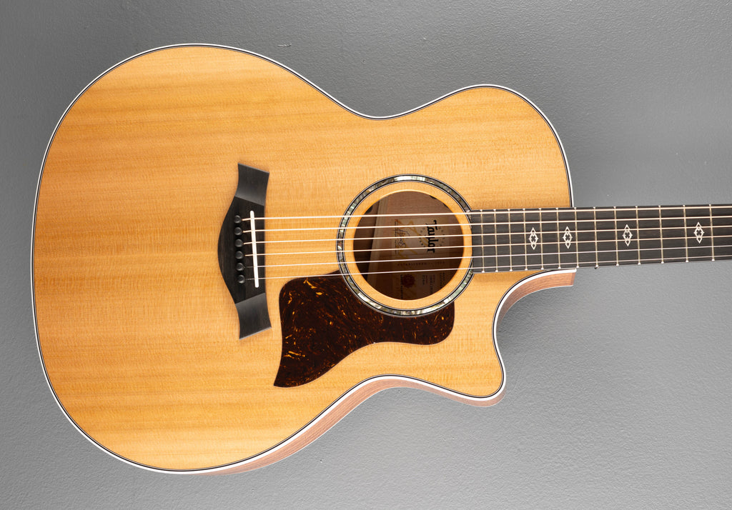 Next Generation 514CE – Dave's Guitar Shop