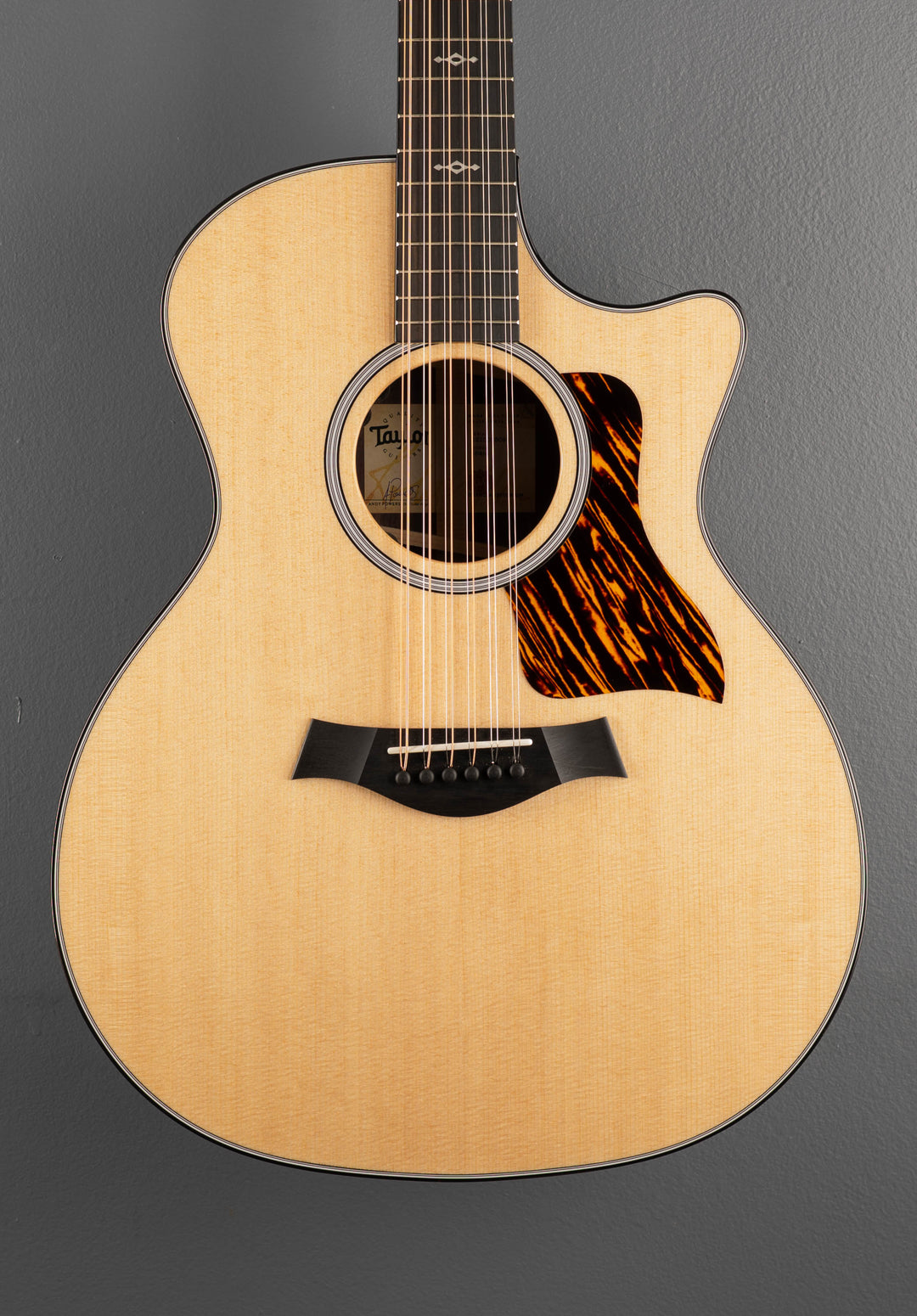 USED Next Generation 454CE 12 String &