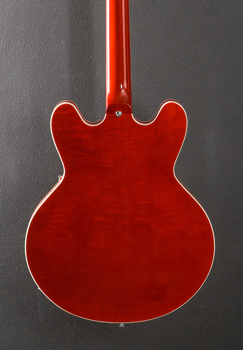 Standard Collection H-530 Hollow - Translucent Cherry