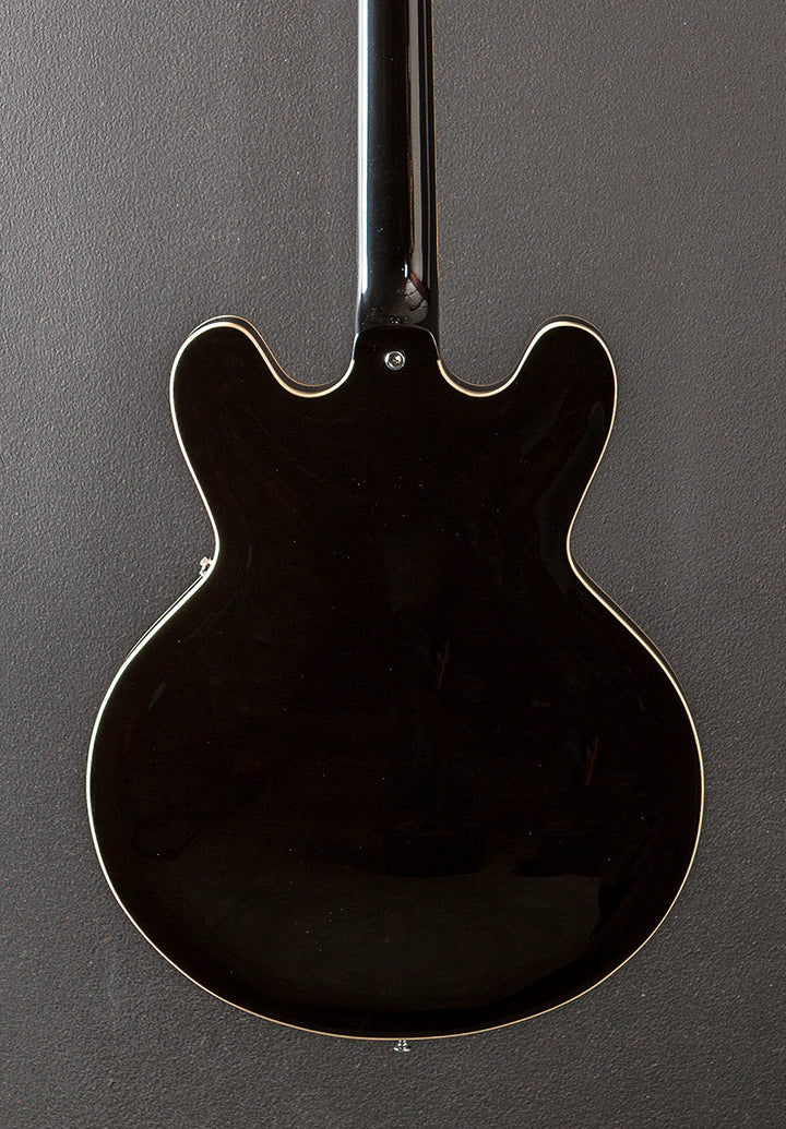 Standard Collection H-530 Hollow '23