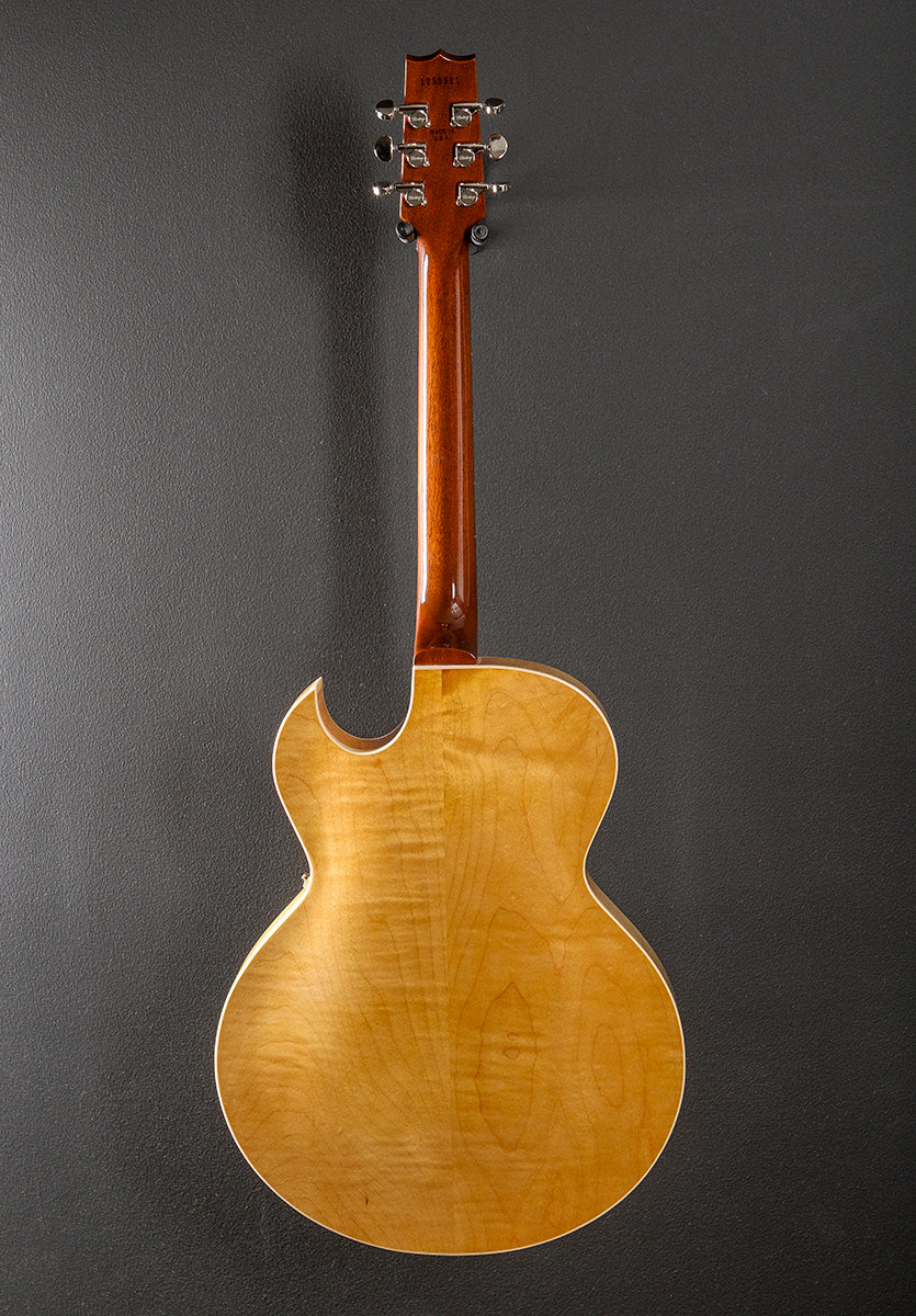 Standard Collection H-575 Hollow '25