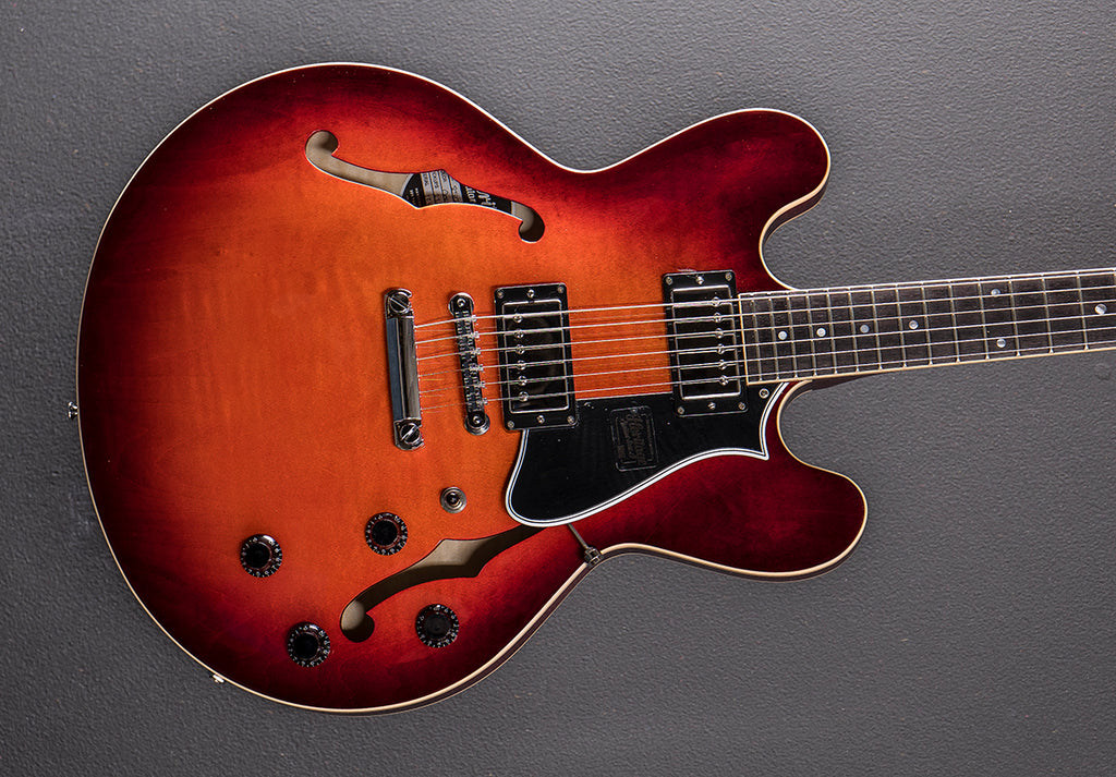 ギター DeliciousTaylormade BuzzFaceBlackANTIGUA Standard II Collection H-535 - Chestnut Burst – Dave's Guitar Shop