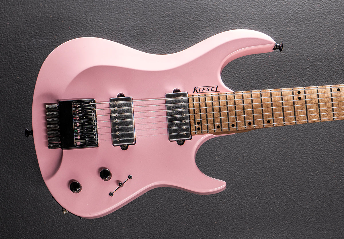 Misc Electrics – Dave's Guitar Shop