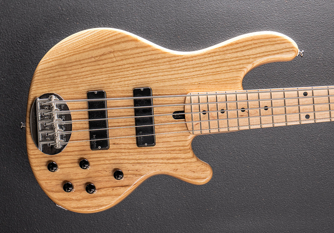 Skyline Series 55-01 Standard 5 String Bass, Recent