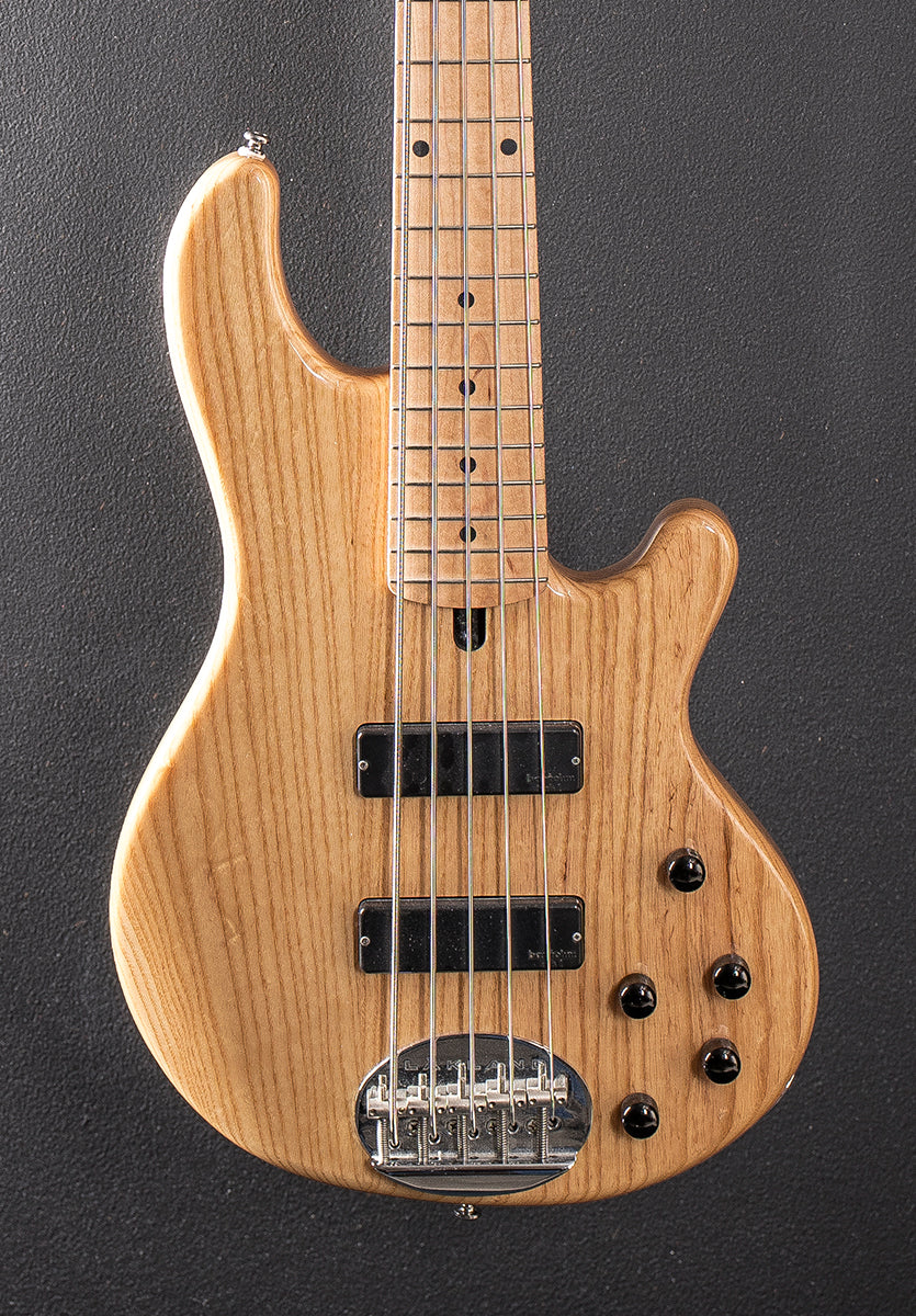 Skyline Series 55-01 Standard 5 String Bass, Recent