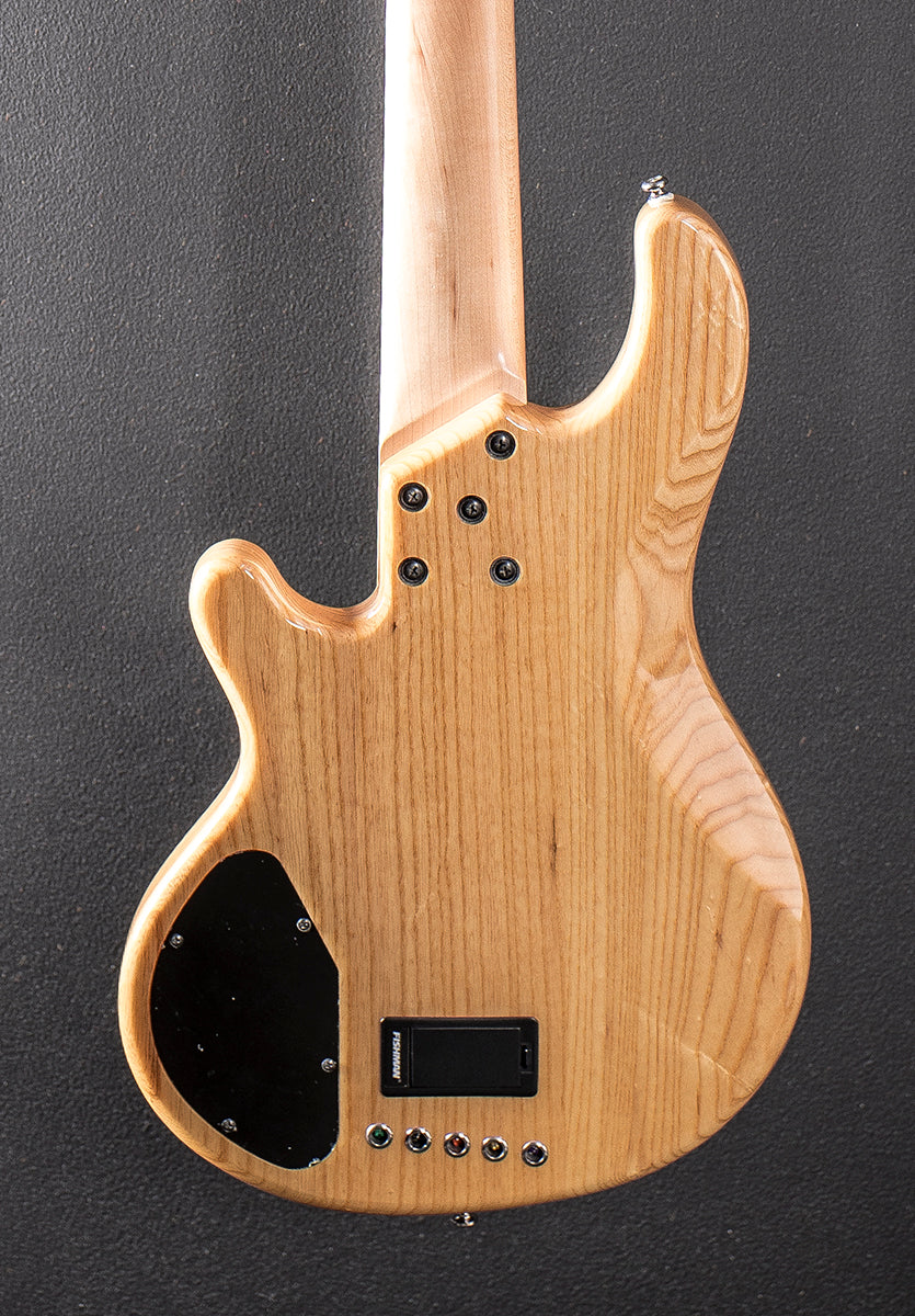 Skyline Series 55-01 Standard 5 String Bass, Recent