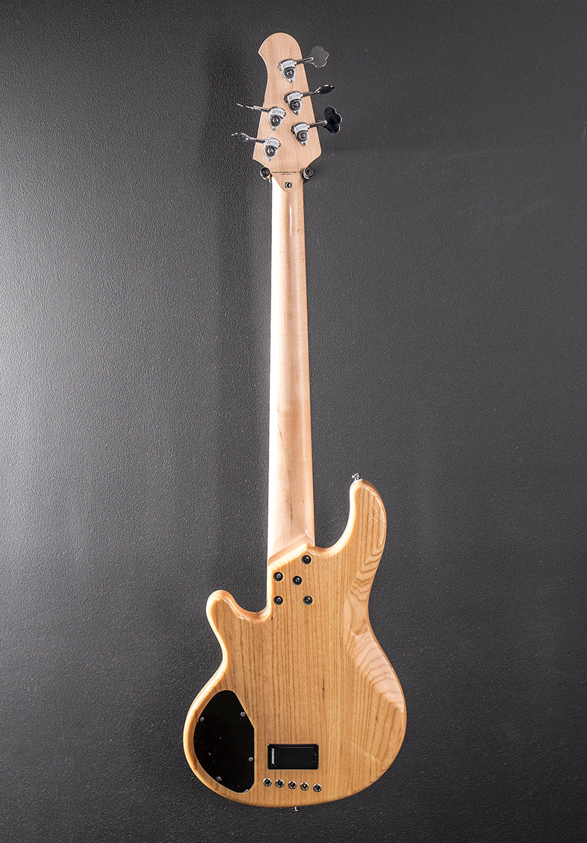 Skyline Series 55-01 Standard 5 String Bass, Recent