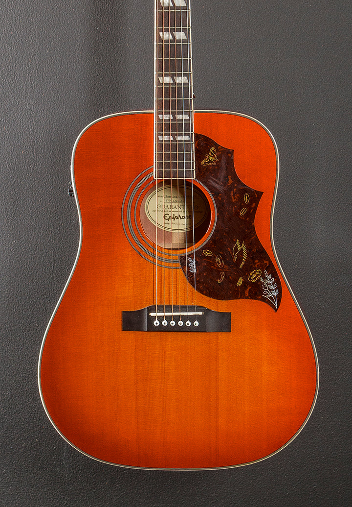 Hummingbird Pro '17