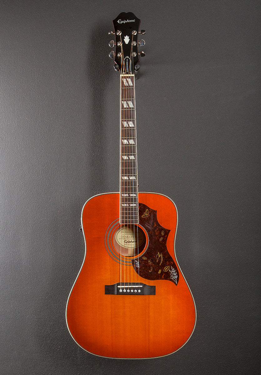 Hummingbird Pro '17