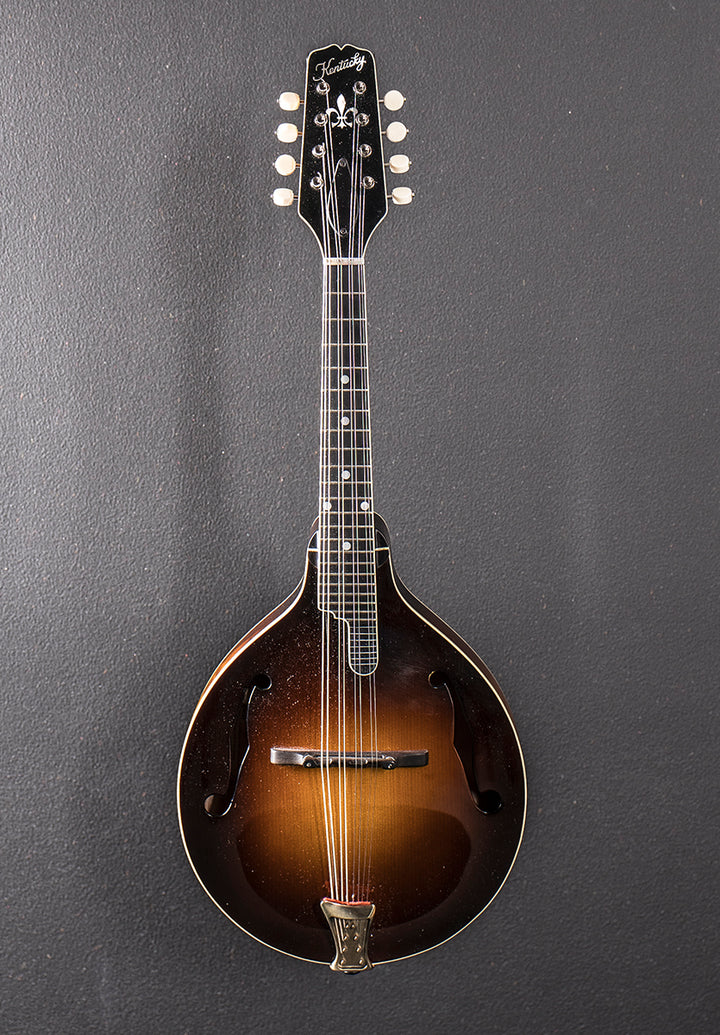 Master Model KM-950 Mandolin, Recent