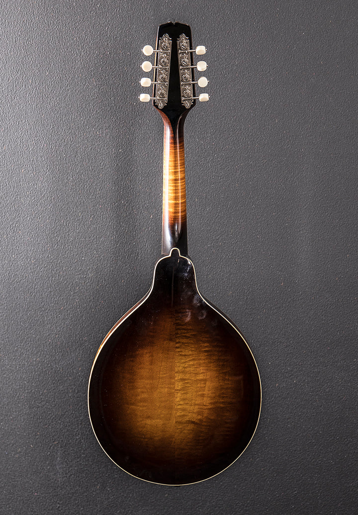 Master Model KM-950 Mandolin, Recent