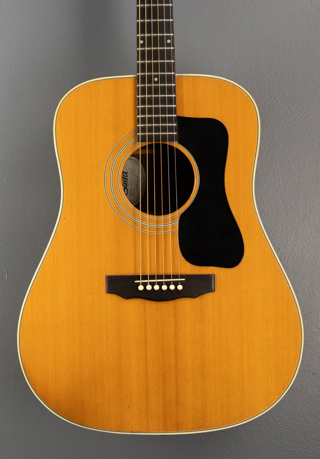 D-50 '79