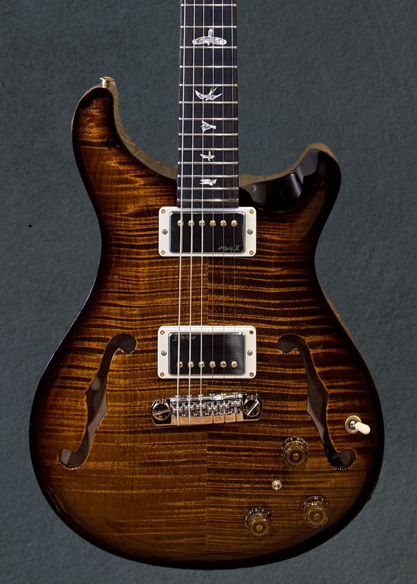 Hollowbody II Piezo 10 Top - Black Gold Wraparound Burst