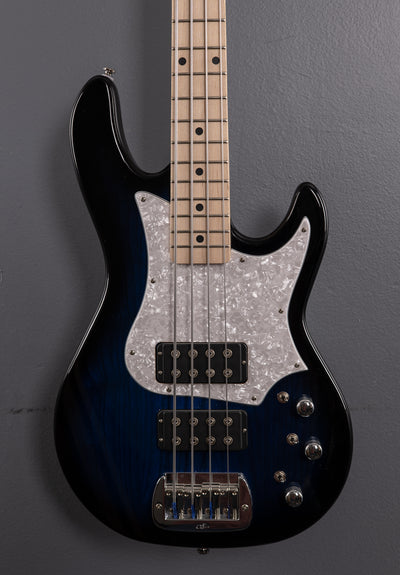 Tribute Series L-2000 Bass, Recent