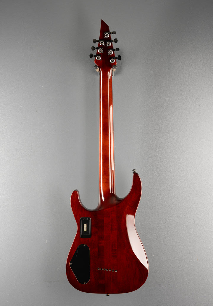 Soloist Archtop SLATTXMGQ3-7, Recent