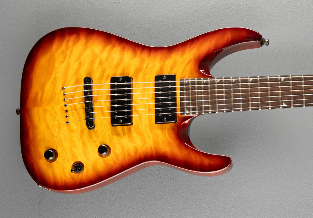 Soloist Archtop SLATTXMGQ3-7, Recent – Dave's Guitar Shop