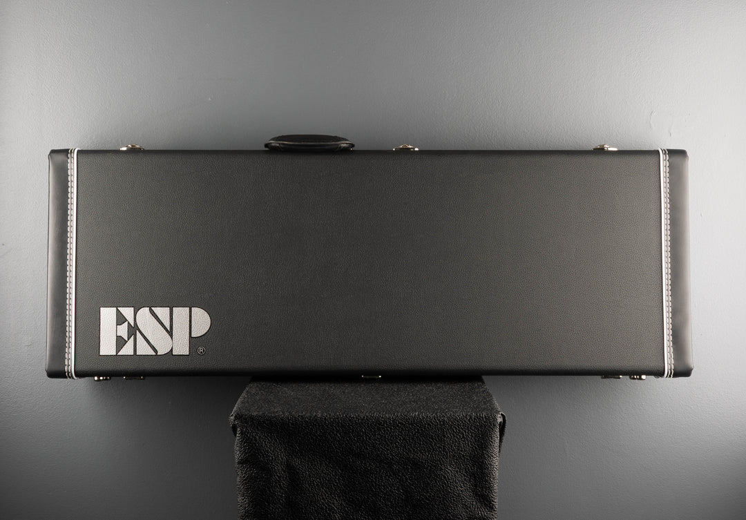 CECFF Form Fit Electric Guitar Case, Recent