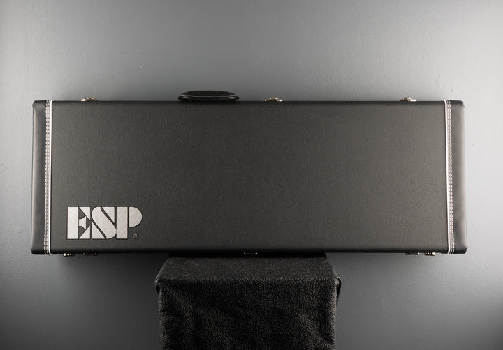 CECFF Form Fit Electric Guitar Case, Recent