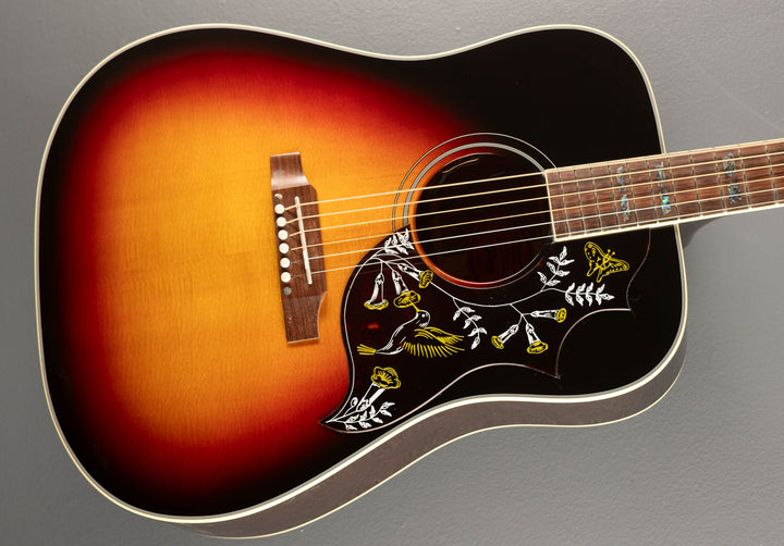 Hummingbird Elite '25