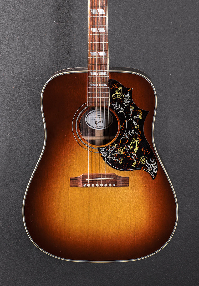 Hummingbird Standard Rosewood - Rosewood Burst