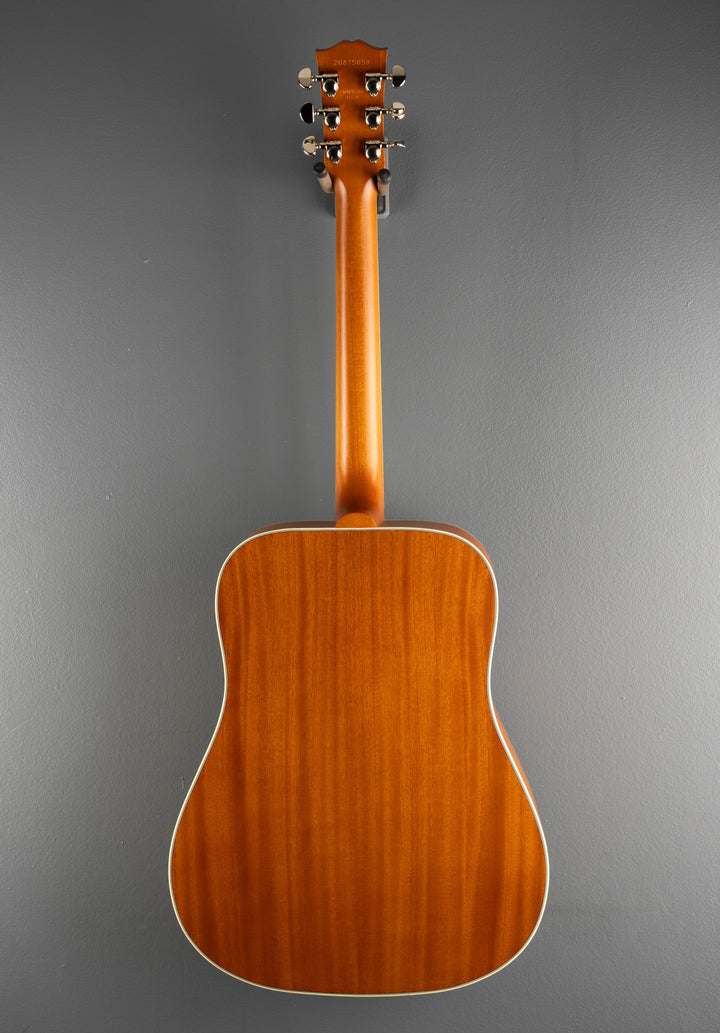 Hummingbird Standard Faded, &