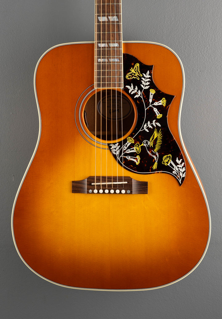 Hummingbird Standard Faded, &