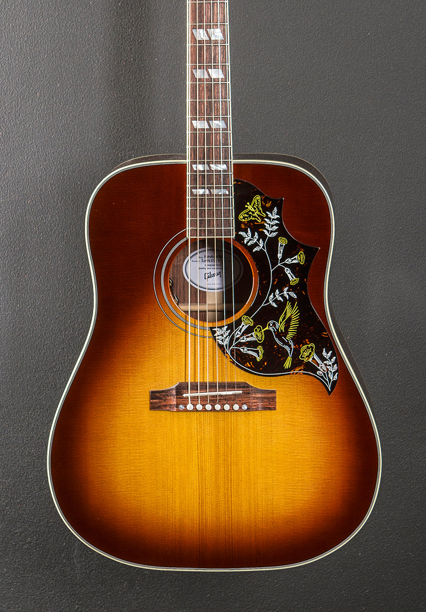 Hummingbird Standard Rosewood - Rosewood Burst