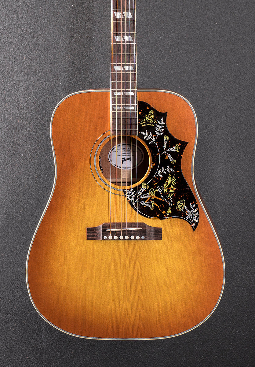 Hummingbird Standard Faded &
