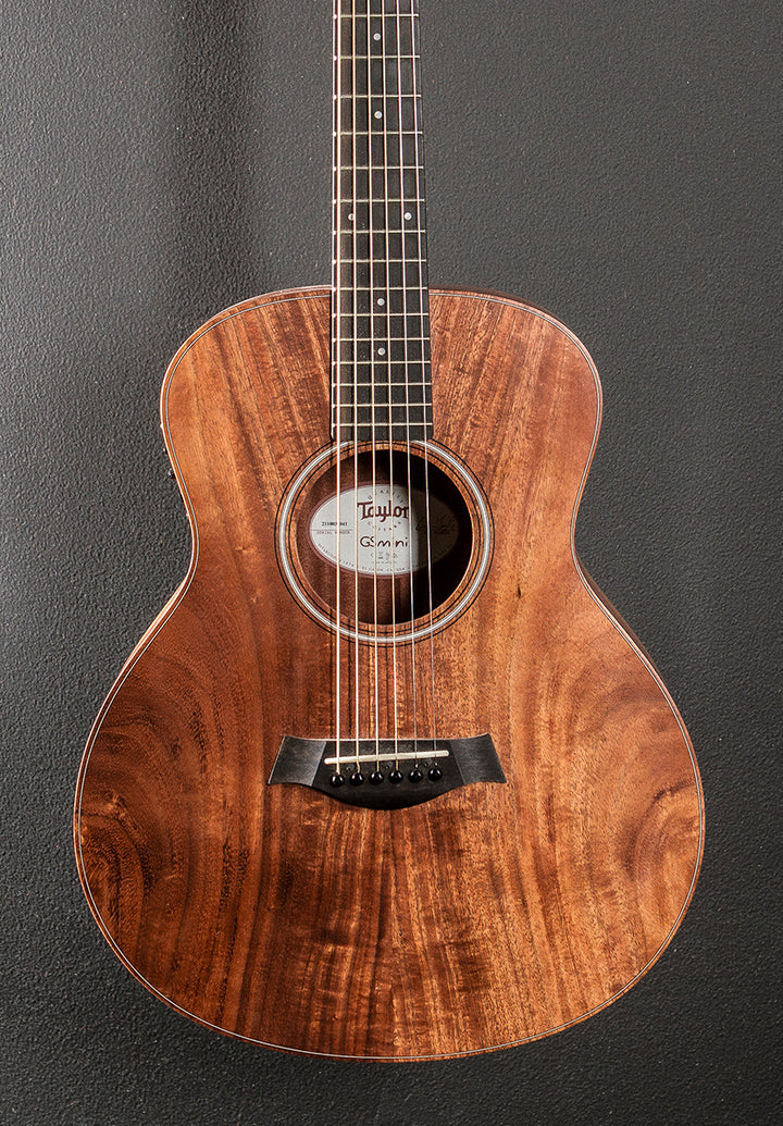 GS Mini-E Koa '19