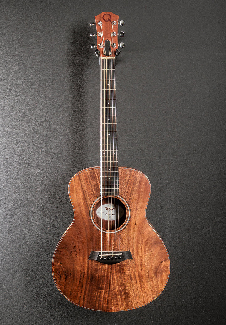 GS Mini-E Koa '19