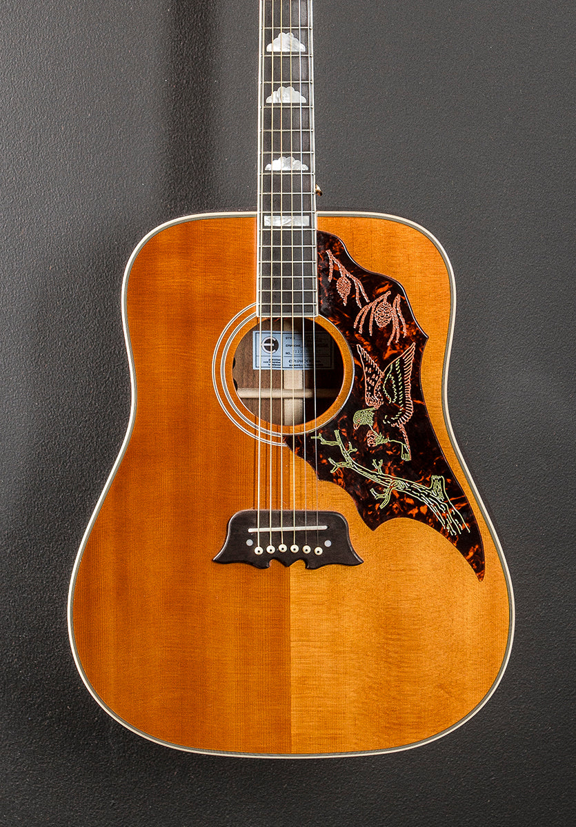 Masterbilt Excellente '21