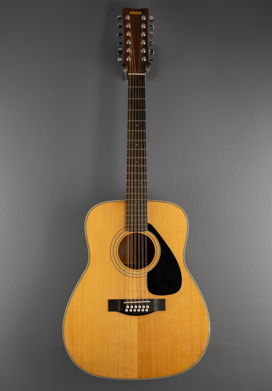 FG-312 12 String, Recent