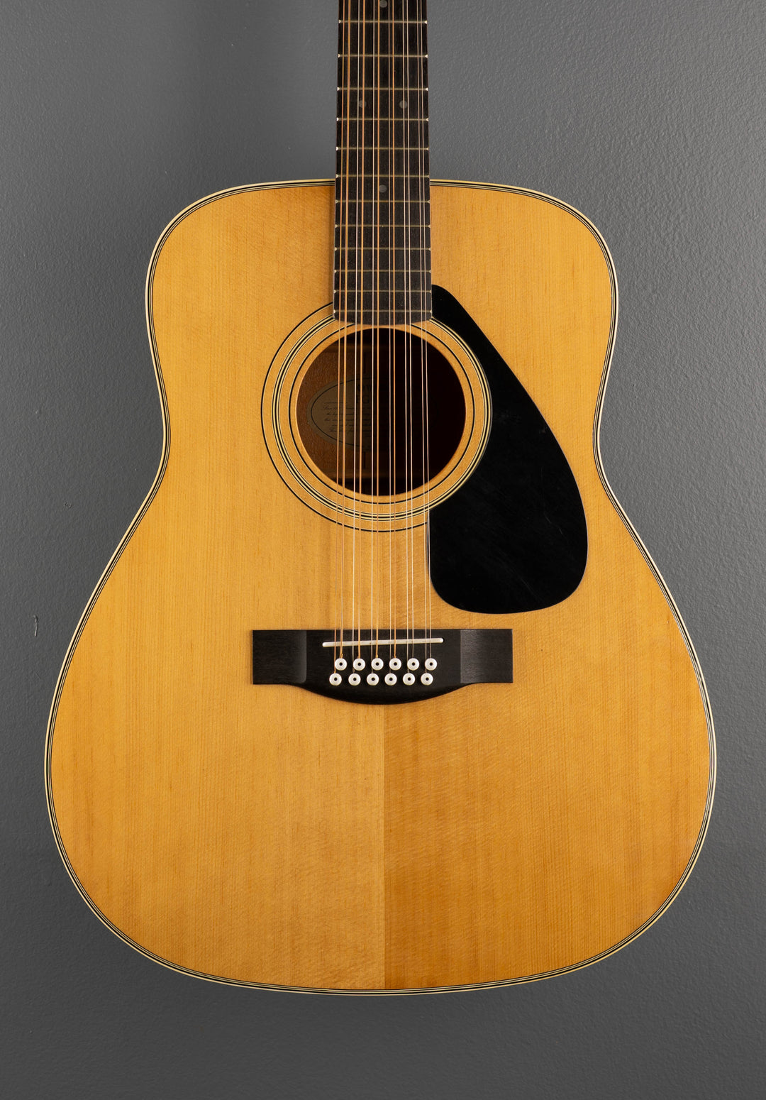FG-312 12 String, Recent