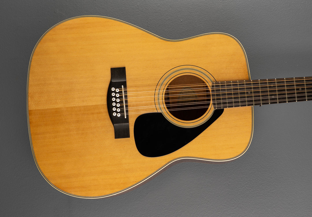 FG-312 12 String, Recent