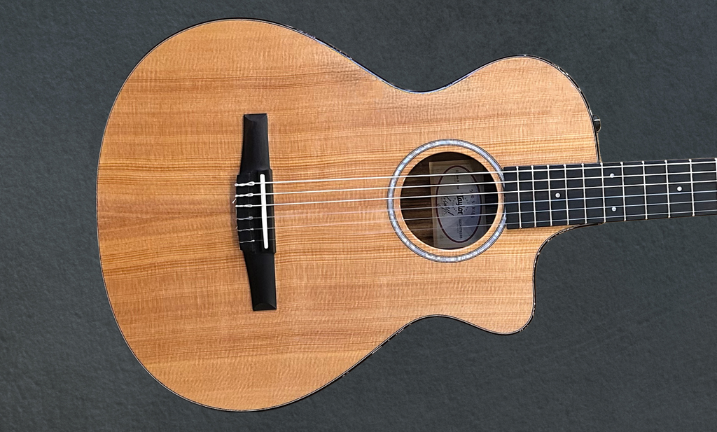 Used 212CE-N Plus, '26 – Dave's Guitar Shop