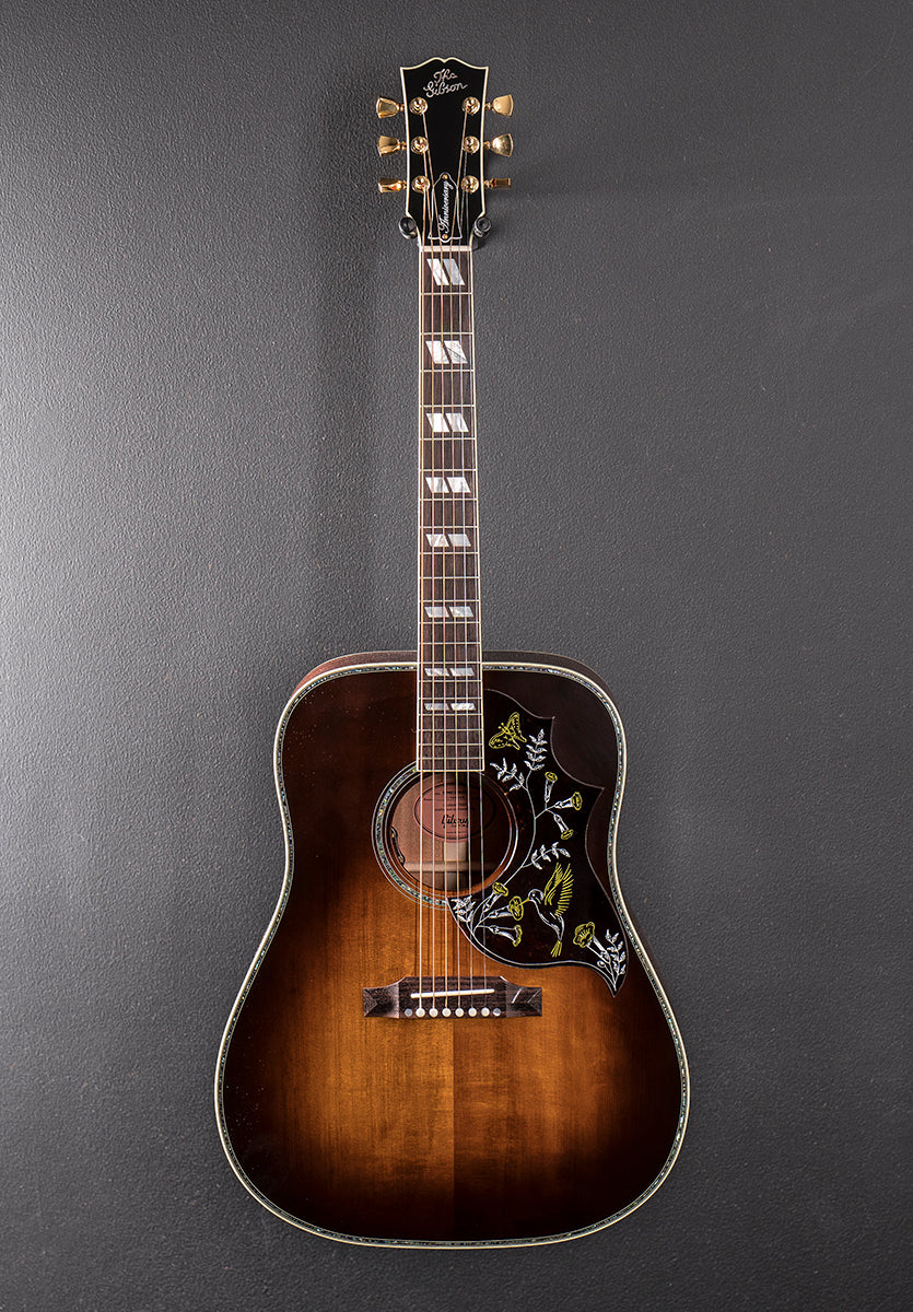 Hummingbird Anniversary Limited Edition - Cremona Burst