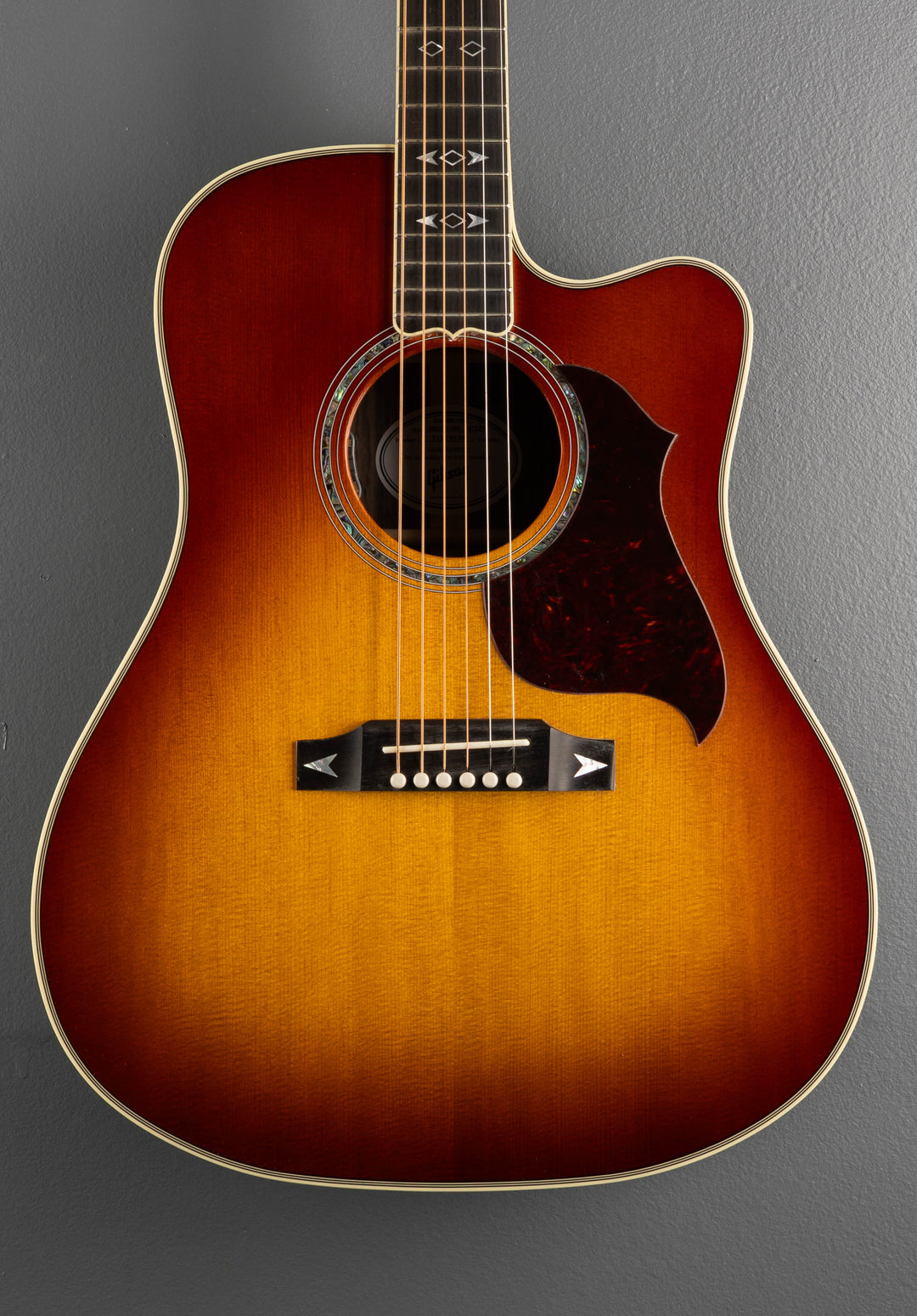 Songwriter Recording Artist EC - Rosewood Burst