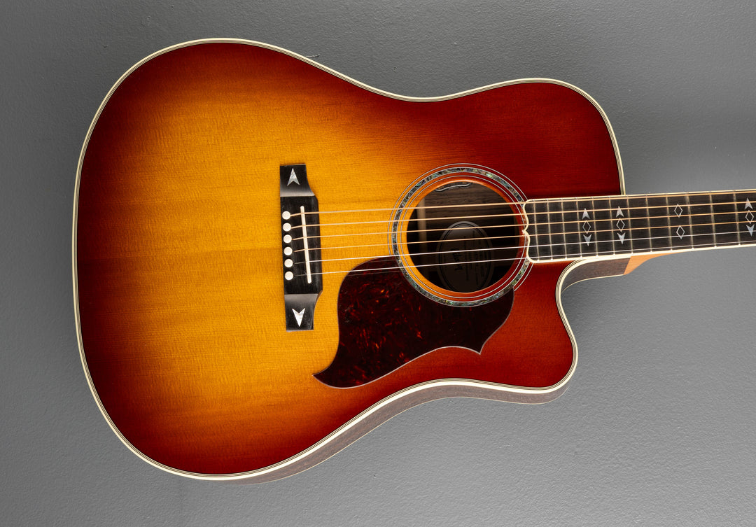 Songwriter Recording Artist EC - Rosewood Burst