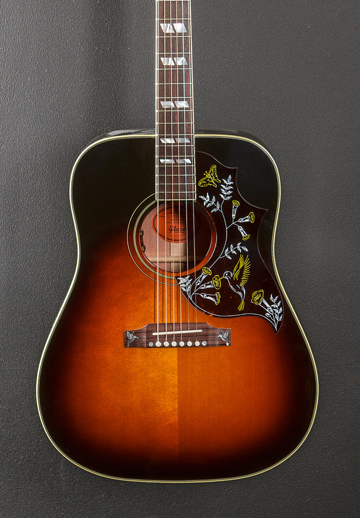 Hummingbird Custom '25
