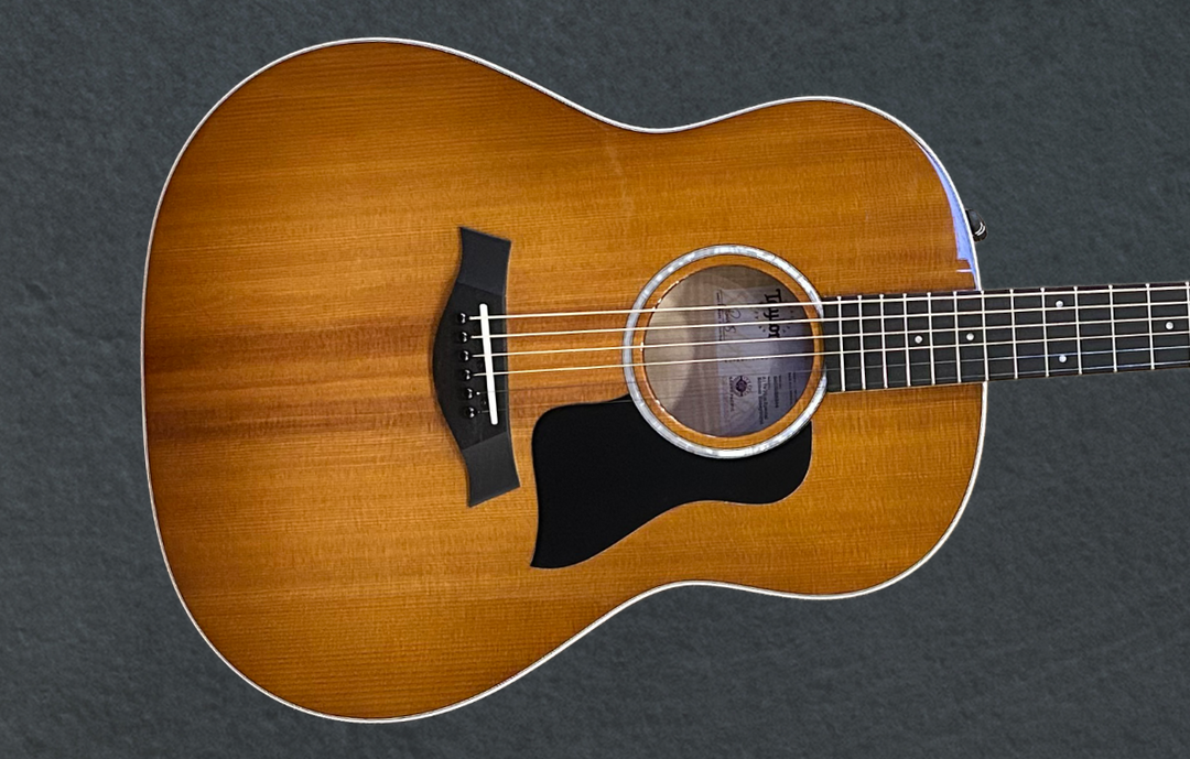 37 ヘタミュ アメリカ USED 217e Plus Special Edition '26 – Dave's Guitar Shop