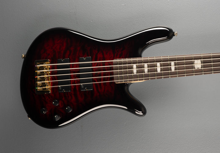 Icon NS-5 Bolt-On - Black Cherry Gloss