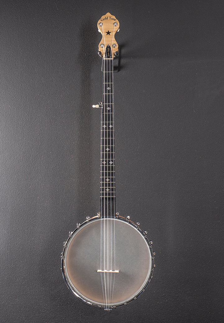 MM-150 Maple Mountain Openback Banjo, Recent