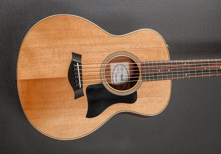 GS Mini-E Rosewood Plus '26