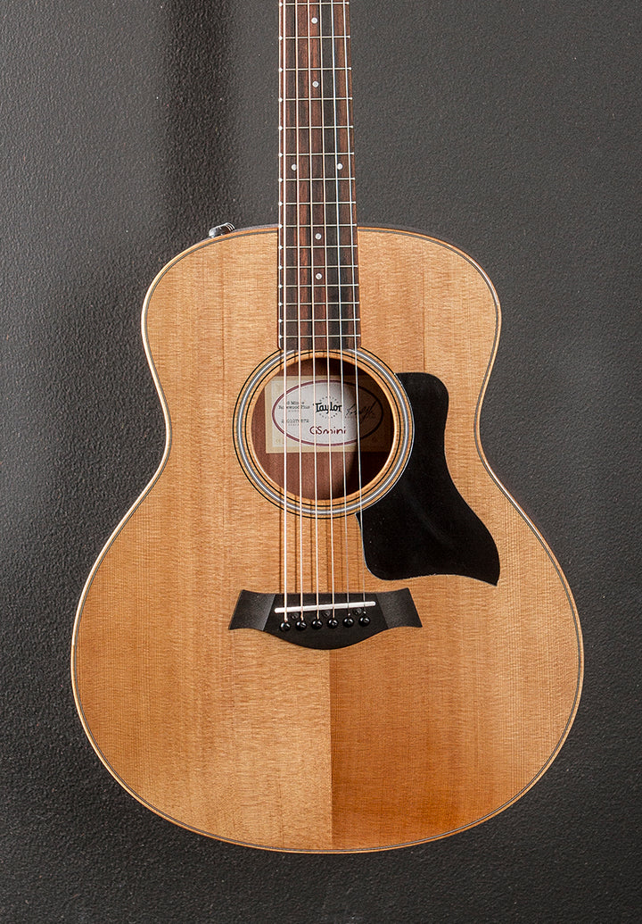 GS Mini-E Rosewood Plus '26